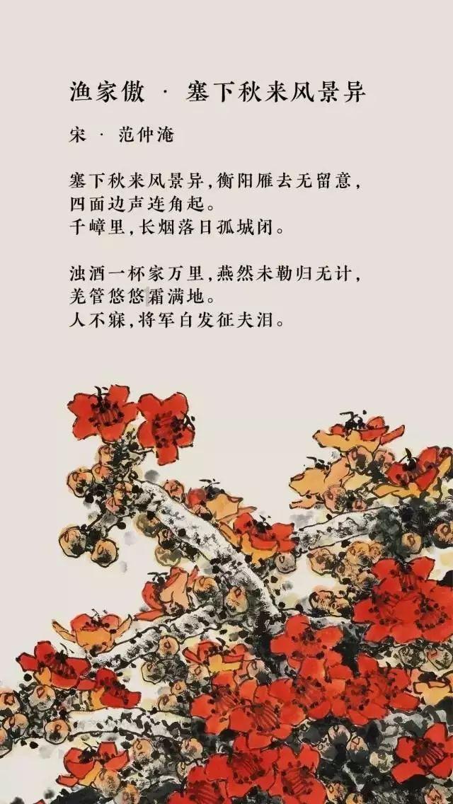 月光影视