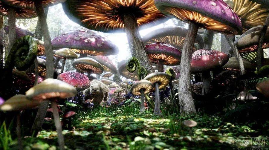 专注交流解答,老公说我傻呼呼的是你的58问答选择